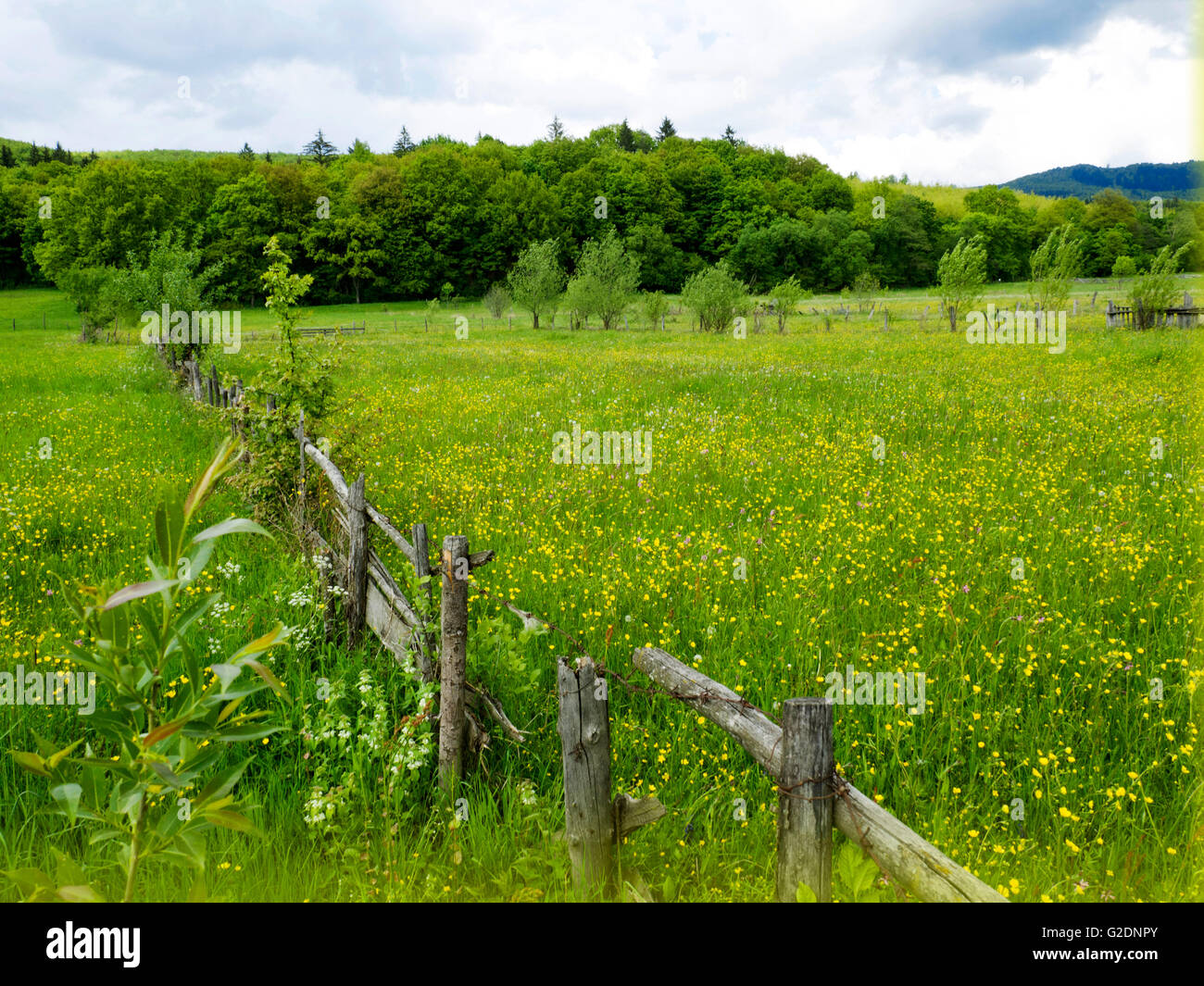wooden fence and green grass Stock Photo - Alamy