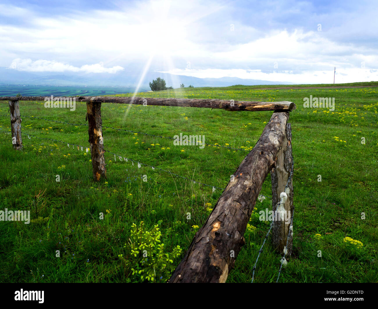 green grass with wooden fence Stock Photo - Alamy