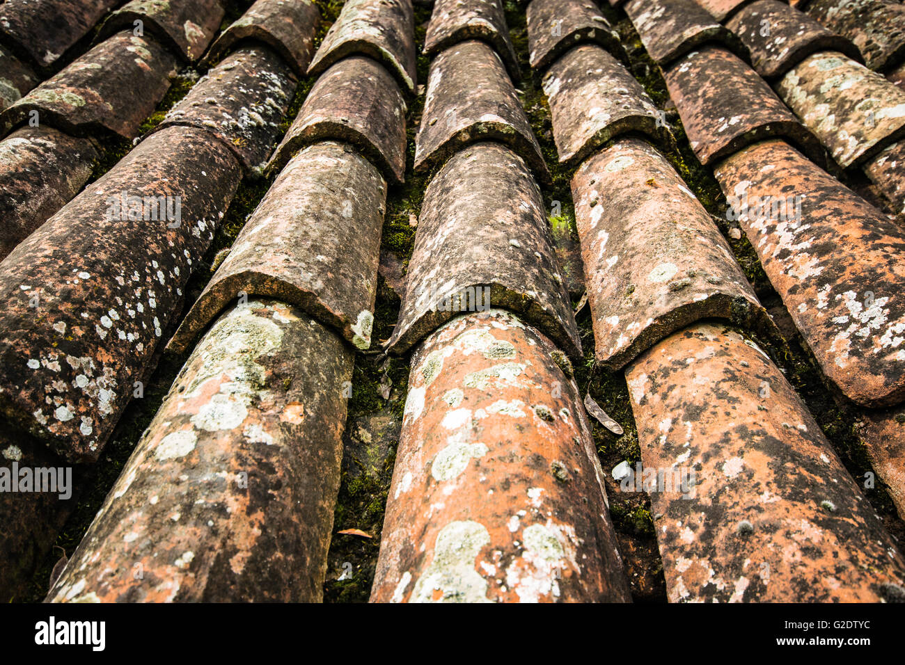 Old red roof tiles on a roof of an old cottage. Stock Photo