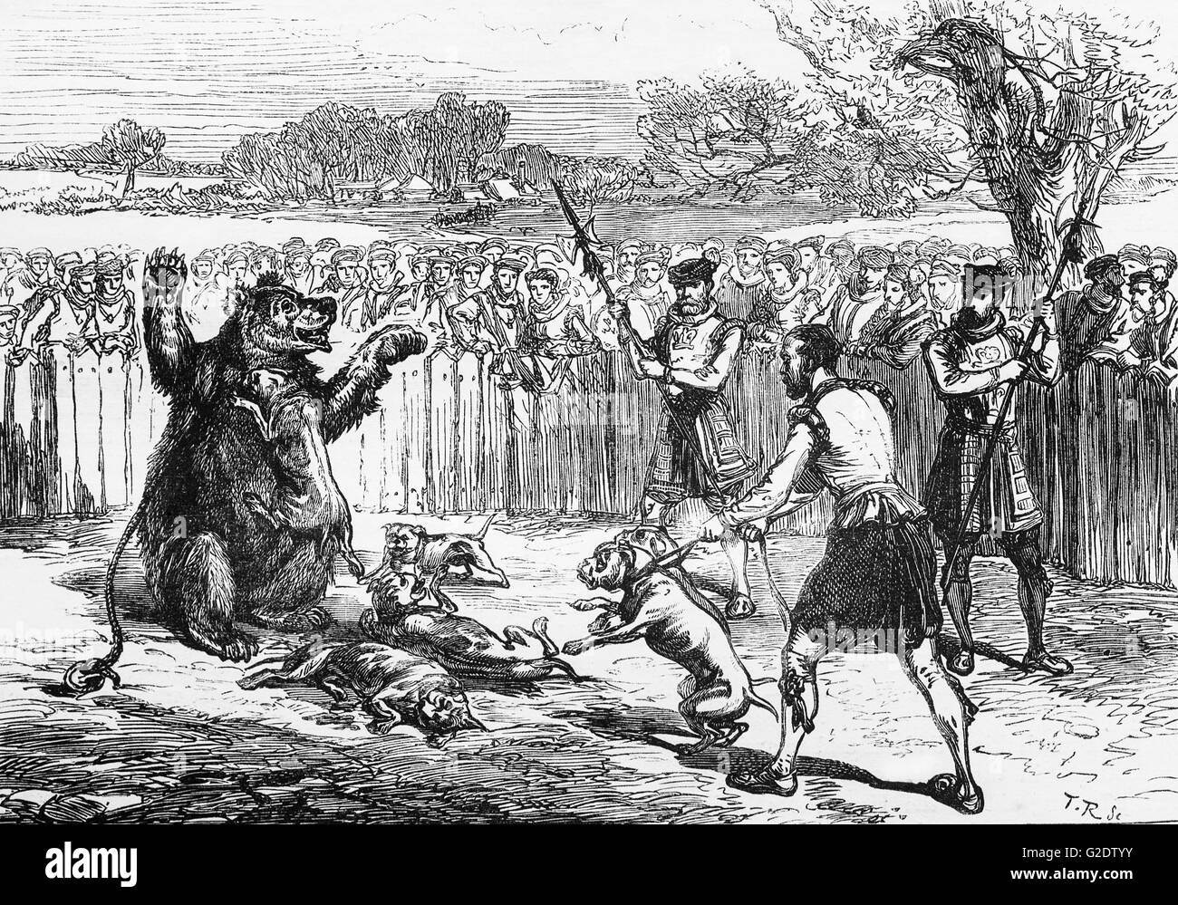 Bear Baiting during the time of Queen Elizabeth I: around 1575 Stock Photo