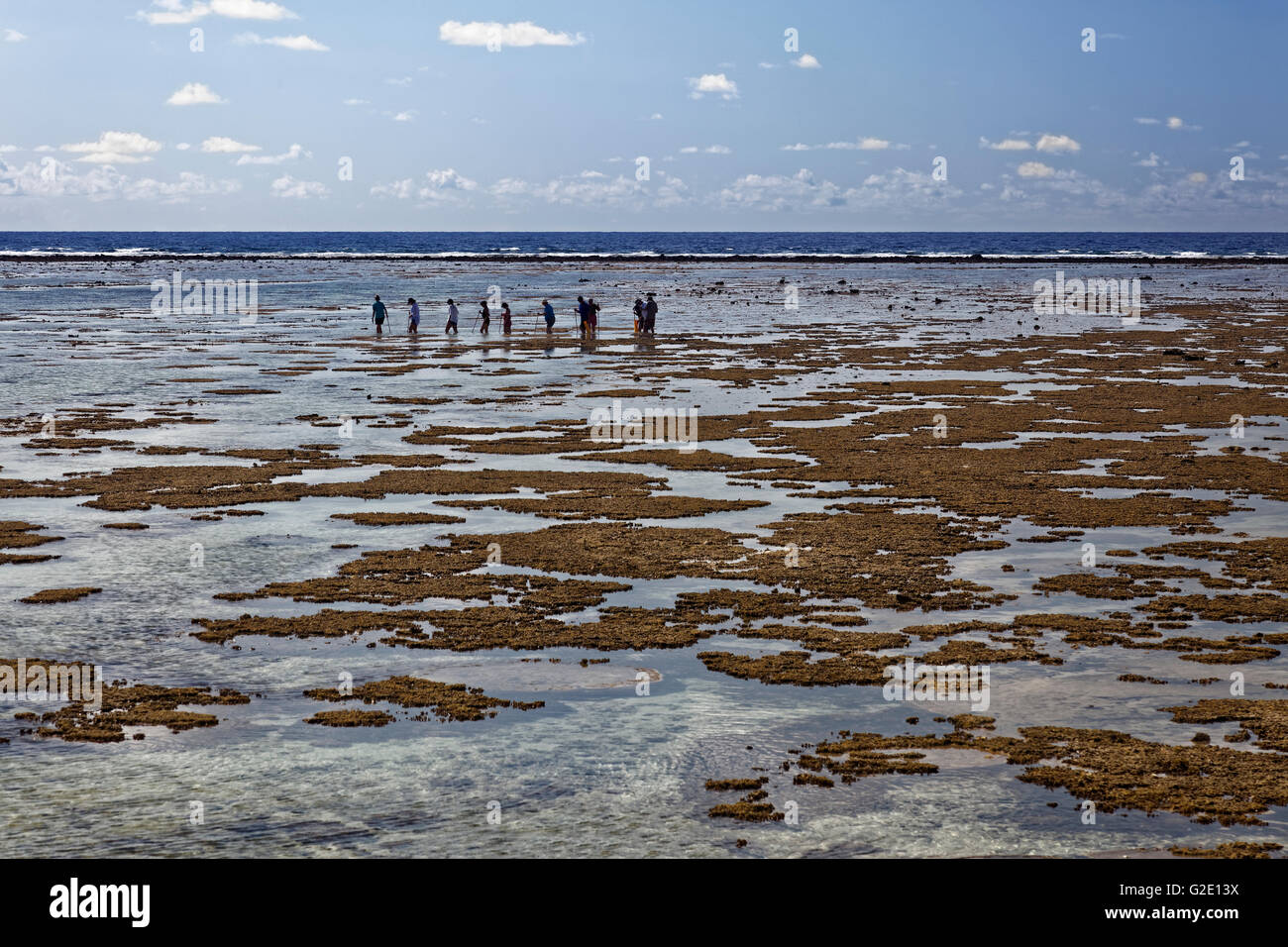 Tourists observe animals in rockpools, at low tide on reef top, Lady Elliot Island, Queensland, Pacific, Australia Stock Photo