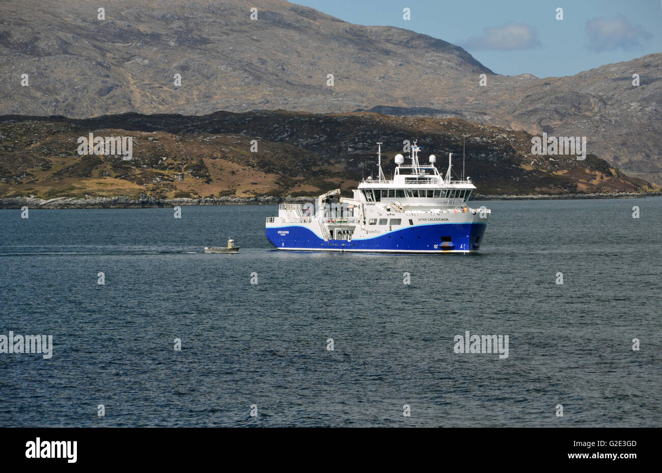 The Marine Harvest Inter Caledonia Live Fish Carrier Moored in Loch Ceann Dibig Outside the Port of Tarbert, Isle of Harris. Stock Photo