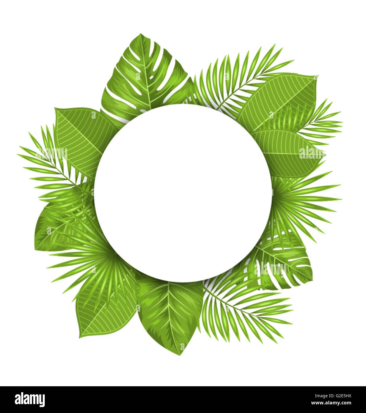 Summer Beautiful Postcard with Green Tropical Leaves for Design Stock ...