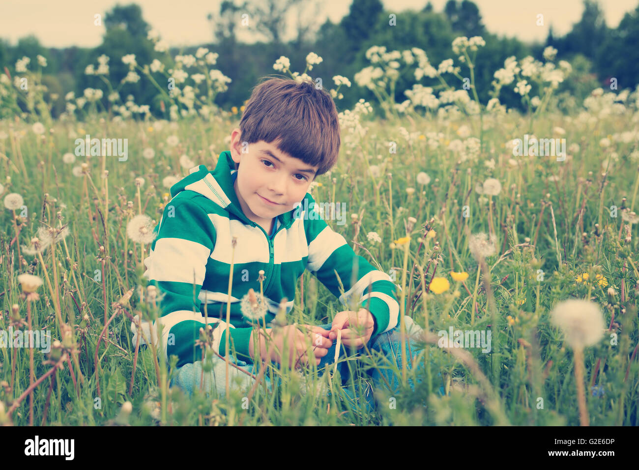 seven years old child sitting on the field with dandelions Stock Photo