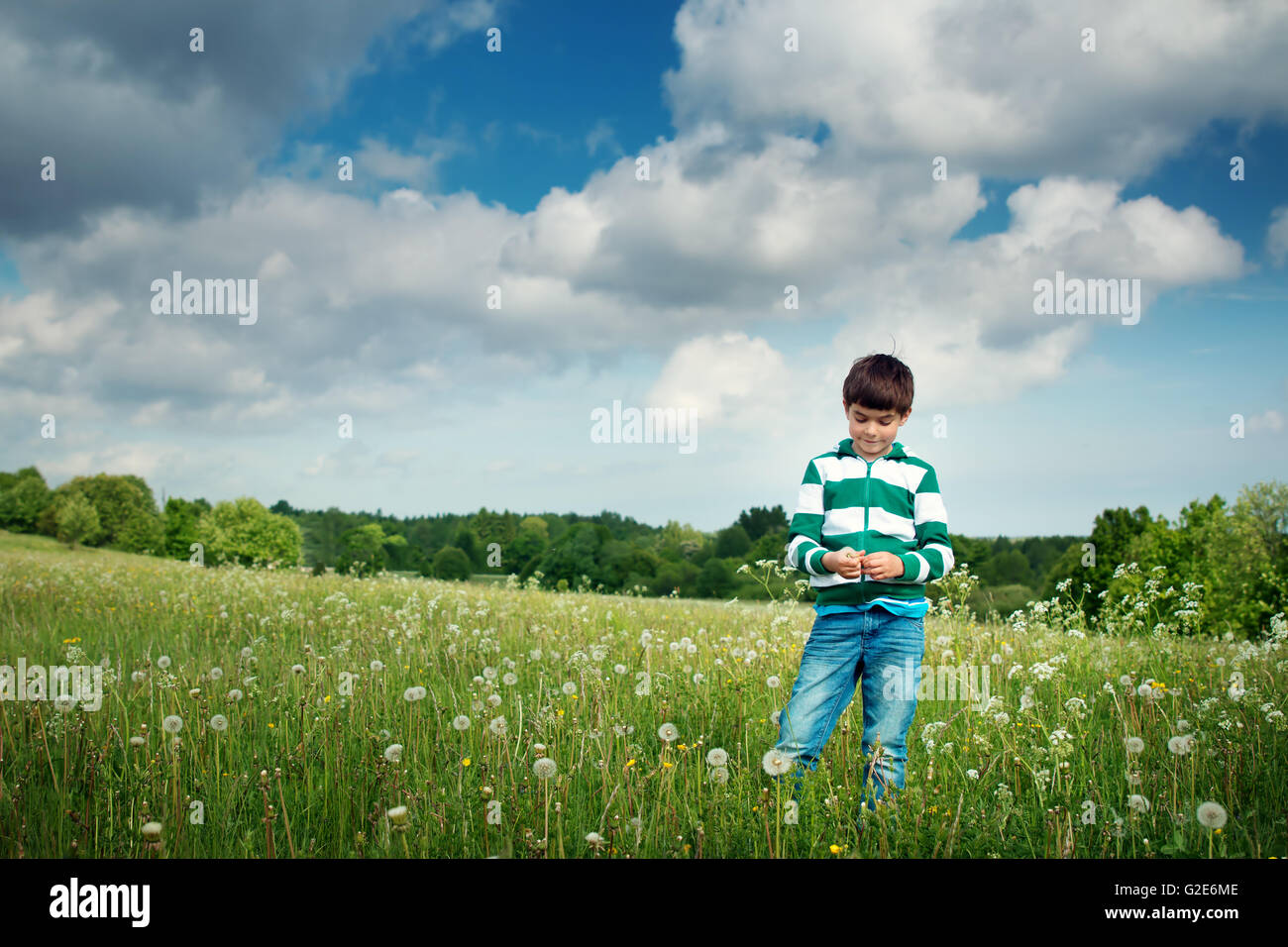 seven years old child standing on the field with dandelions Stock Photo