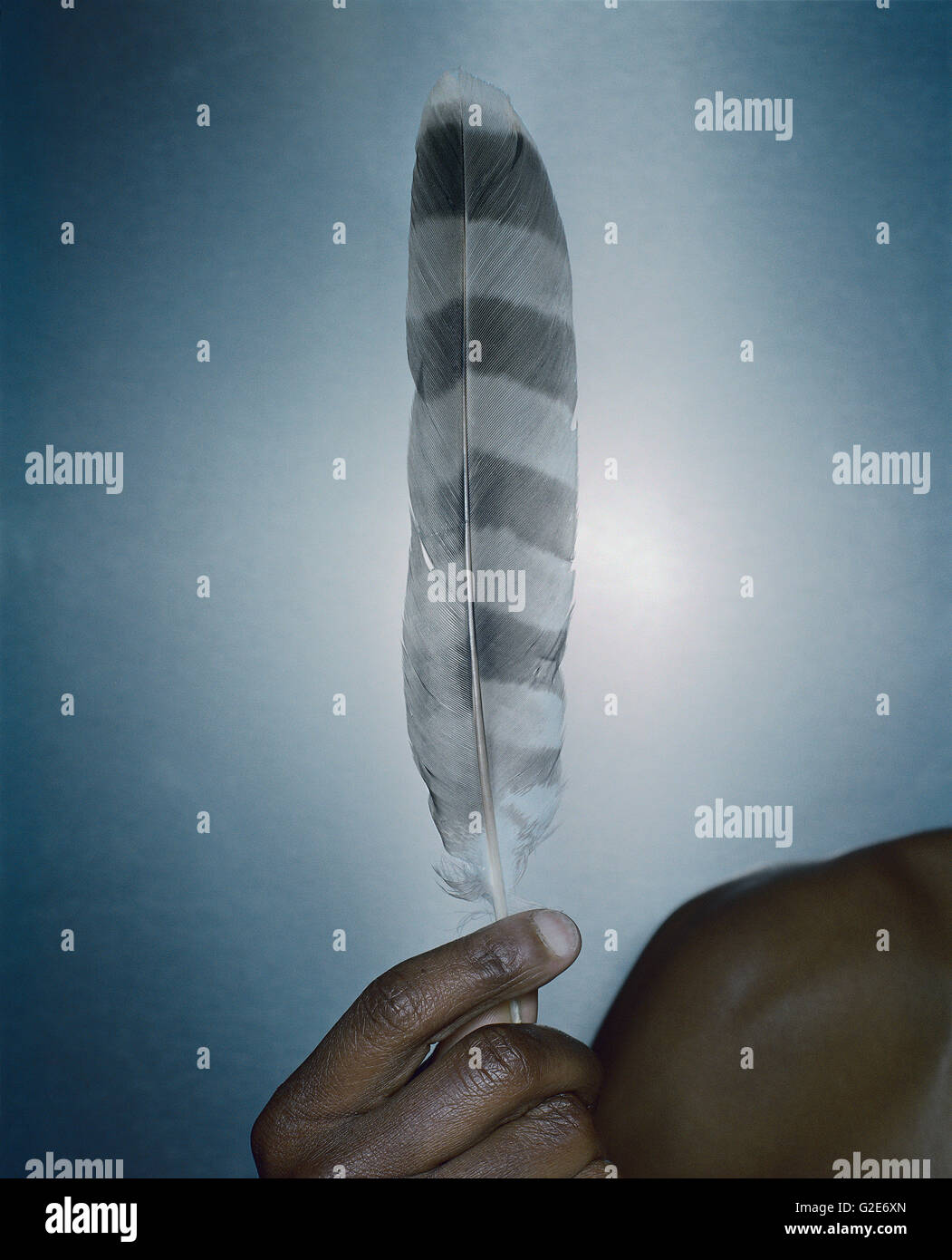 Hand Holding Feather Stock Photo Alamy