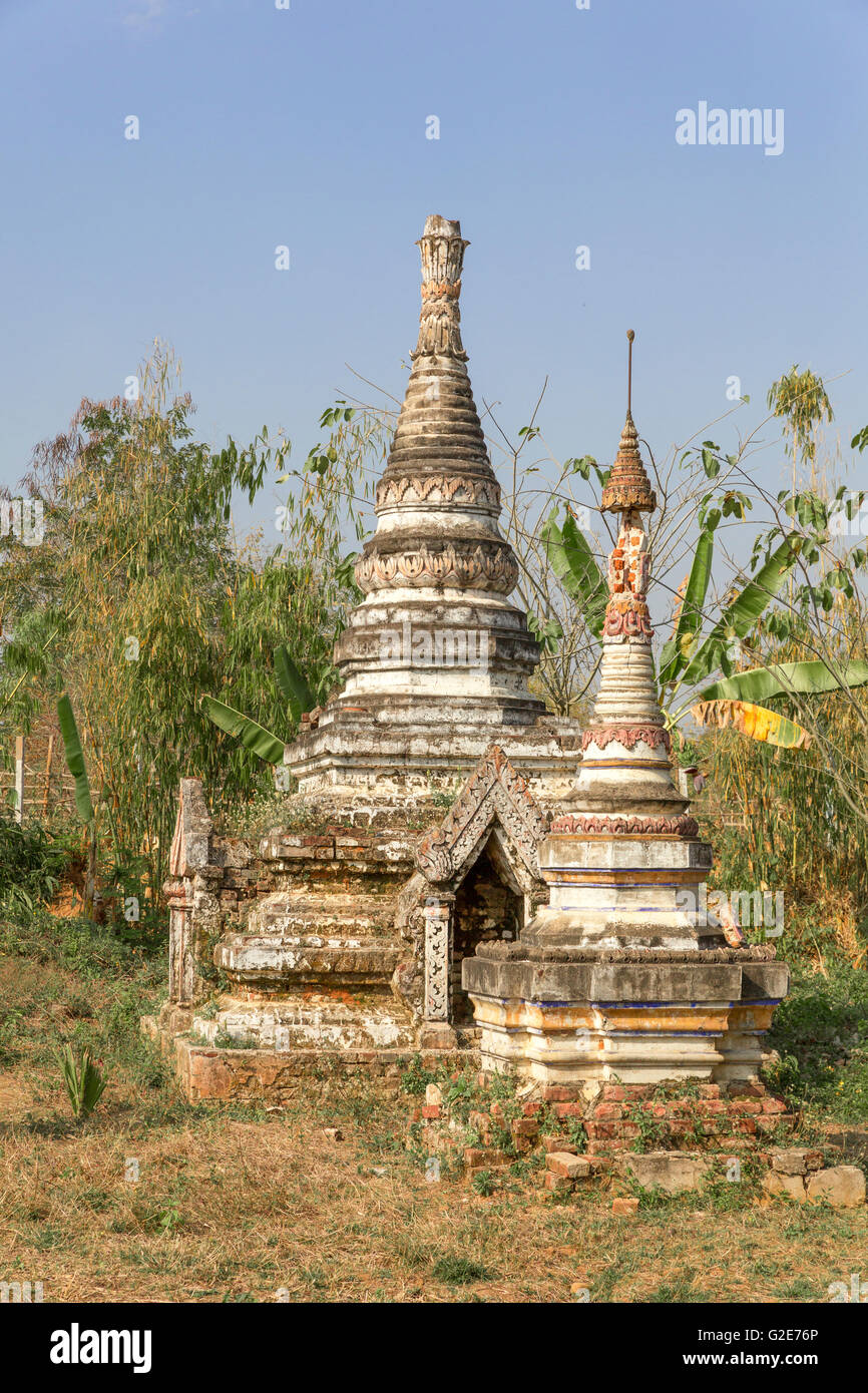Tree growing around of a crumbling stupa in ruins of Pagodas, Old Temple Architecture, Myanmar, Burma, South Asia, Asia Stock Photo
