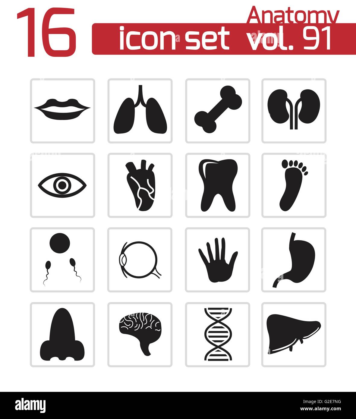 Vector black anatomy icons set on white background Stock Vector Image ...