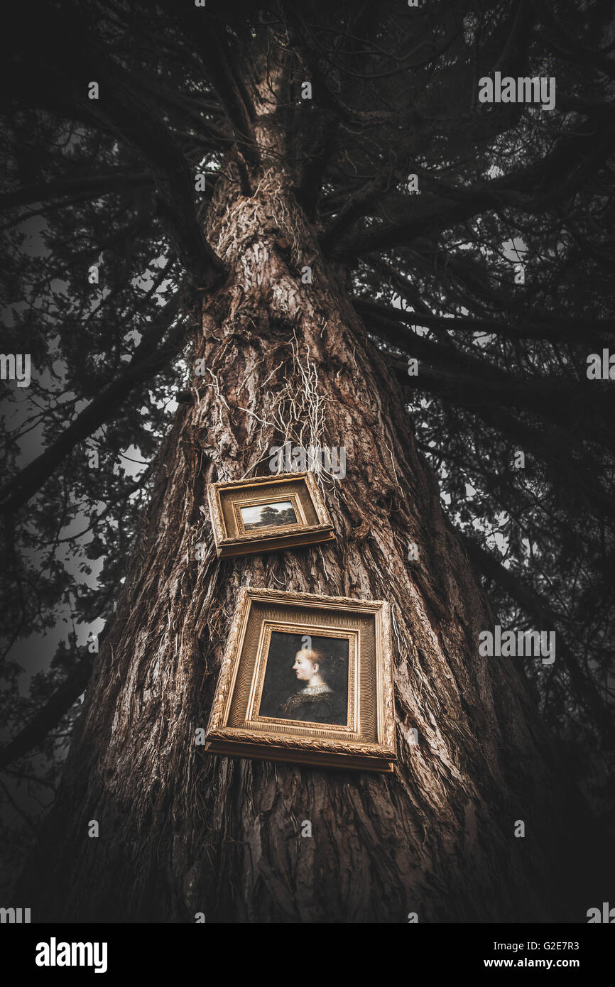 Low hanging tree branches hi-res stock photography and images - Alamy