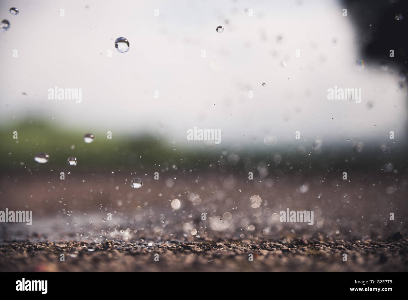 Rain Hitting Ground, CloseUp Stock Photo Alamy