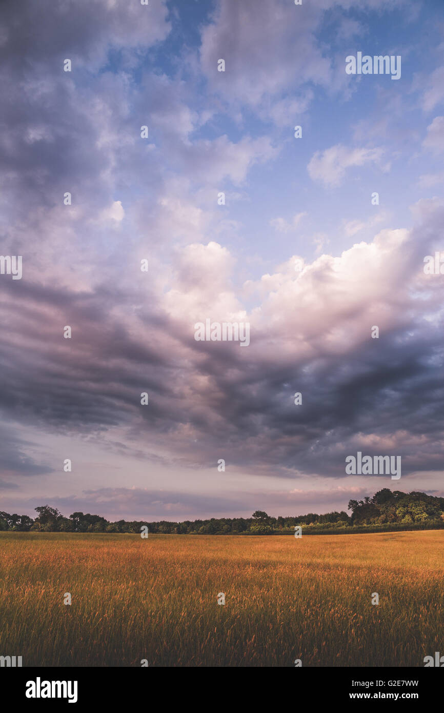 Clouds sky field hi-res stock photography and images - Alamy