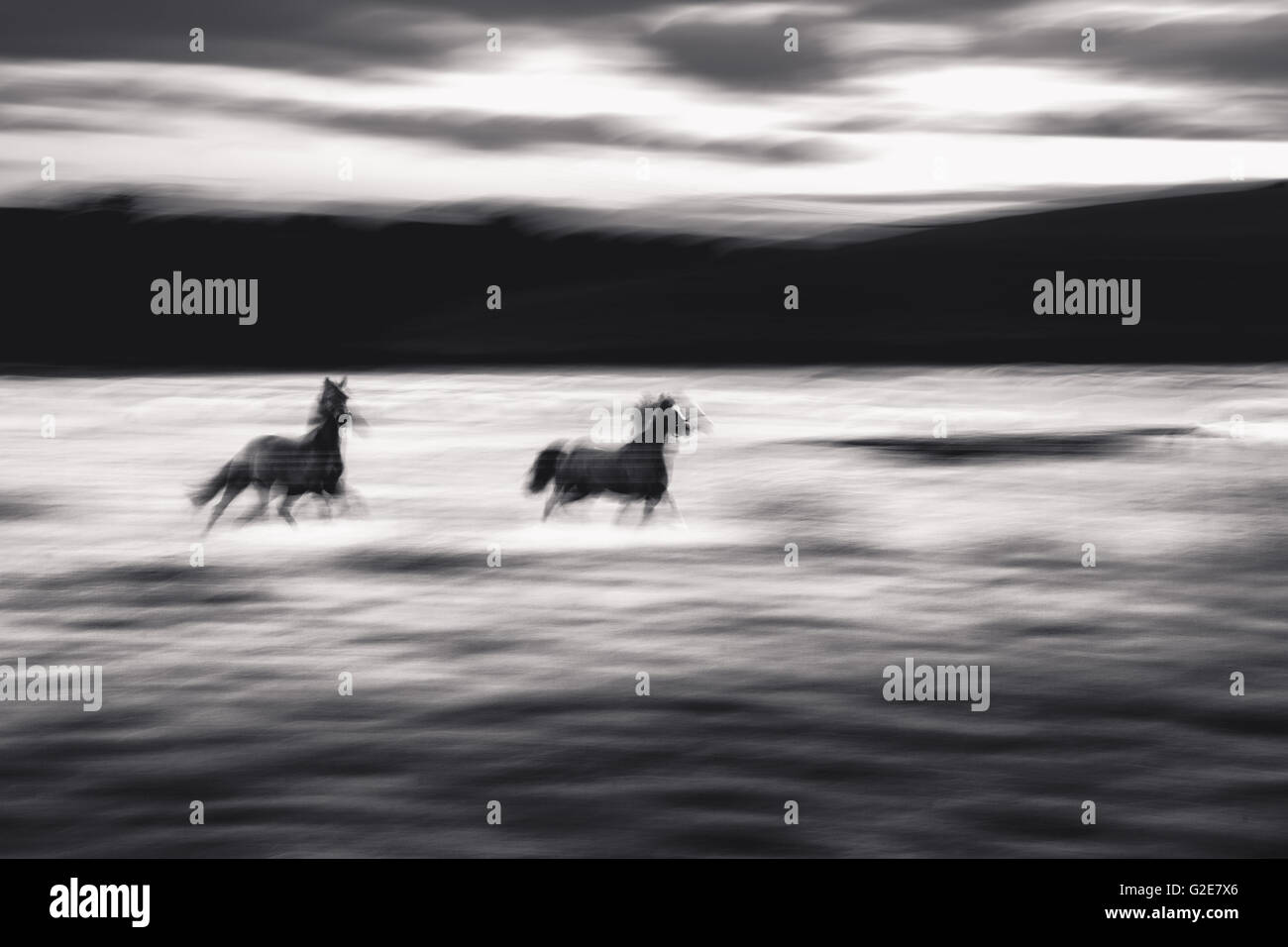 Blurred Galloping Horses Stock Photo - Alamy