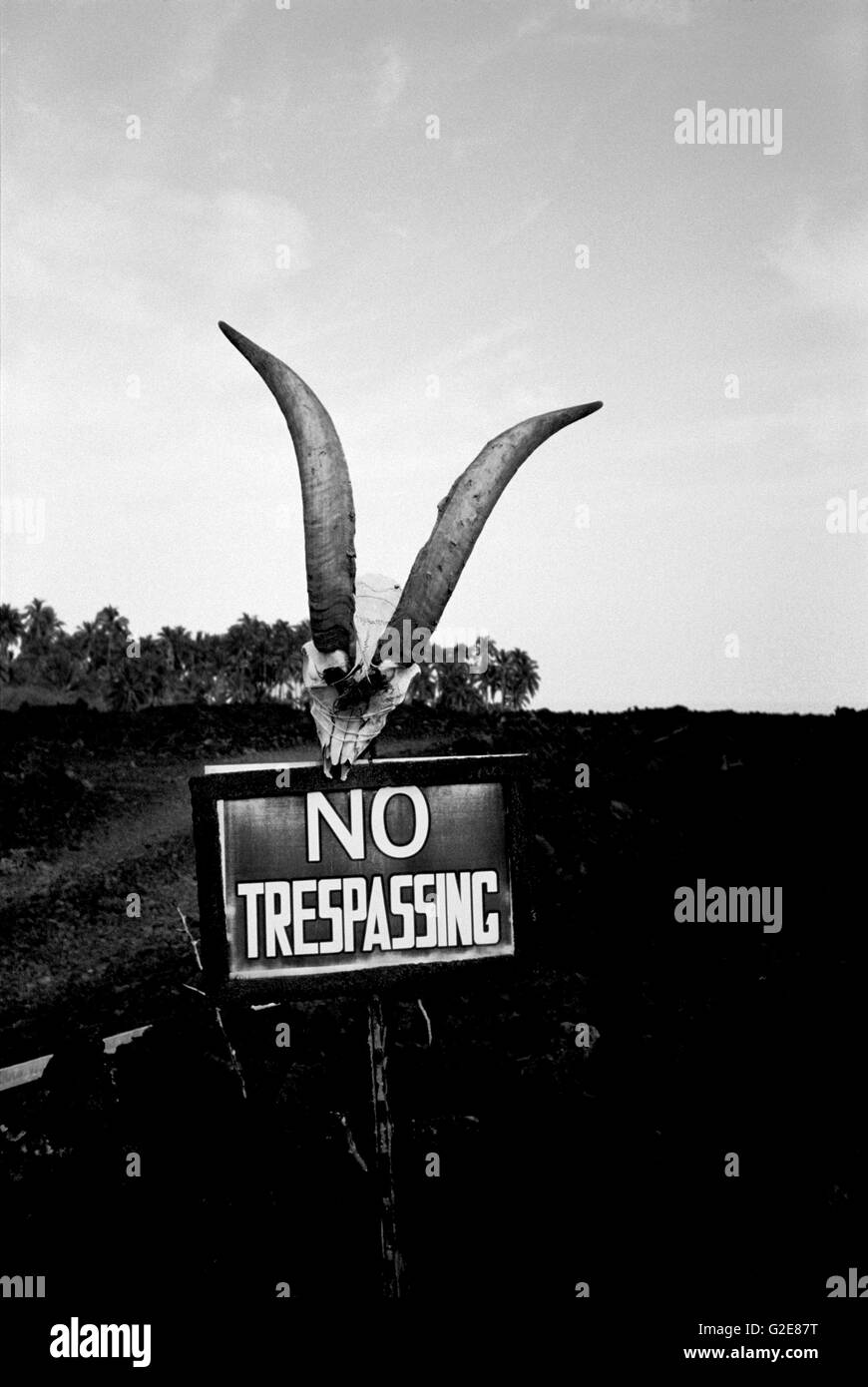 No Trespassing Stock Photo