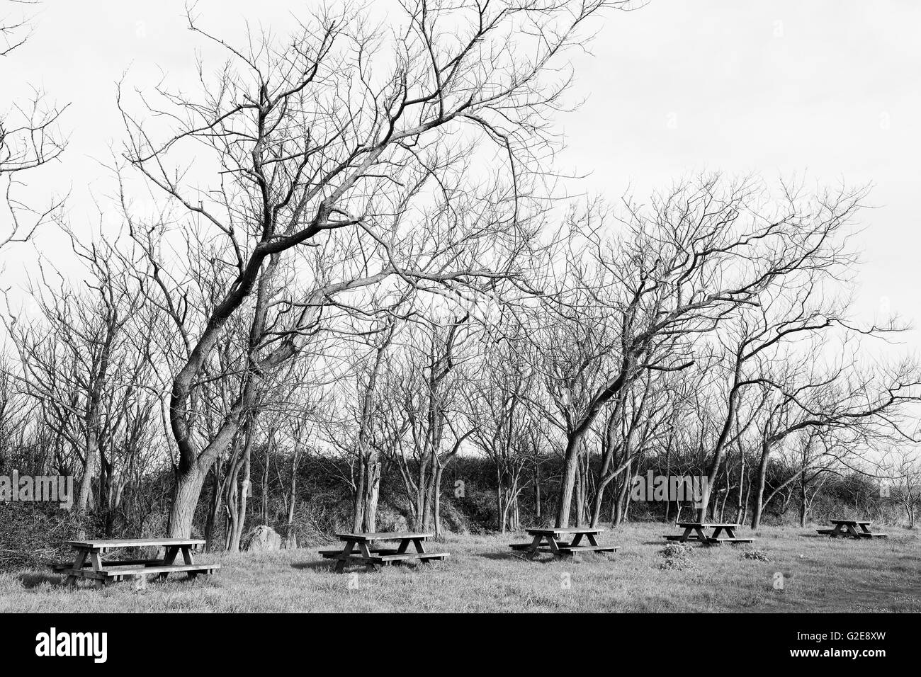 Picnic Tables Park Stock Photos & Picnic Tables Park Stock Images Alamy