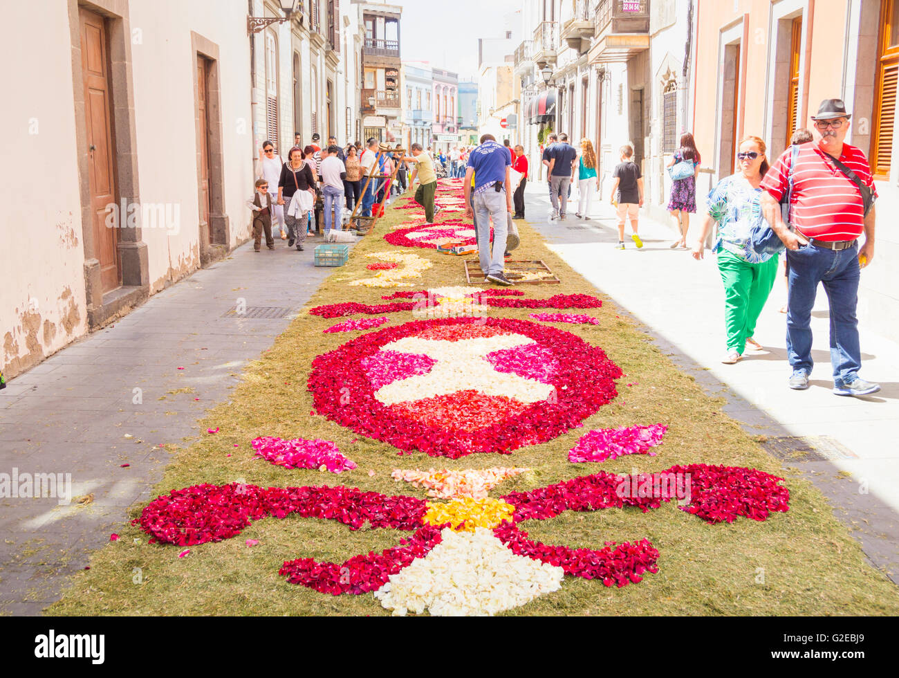 Vegueta, Las Palmas, Gran Canaria, Canary Islands, Spain, 29th May 2016. Locals decorate  the streets around Santa Ana cathedral in Las Palmas with intricate Alfombras ( carpets) using flower petals ahead of Corpus Christi procession later in the day. Credit:  Alan Dawson News/Alamy Live News Stock Photo