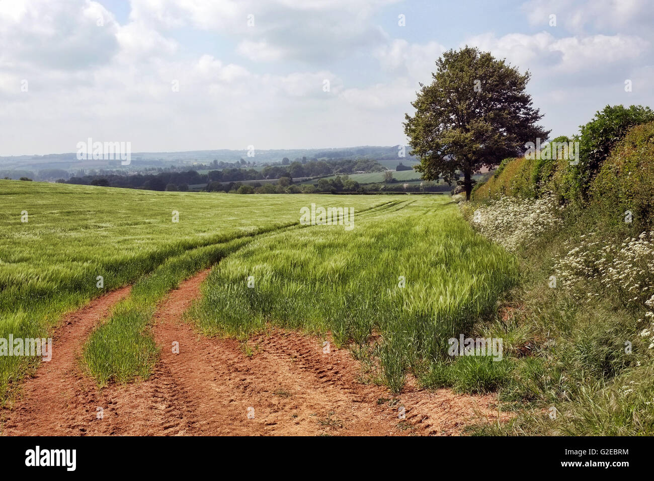 Chipping Campden, England, UK; 29th May, 2016. A beautiful day to be in rural Cotswold countryside near Chipping Campden, Gloucestershire. Credit:  Andrew Lockie/Alamy Live News Stock Photo