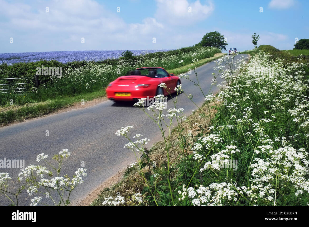 Chipping Campden, England, UK; 29th May, 2016. A beautiful day to be driving an open-top car through rural Cotswold countryside near Chipping Campden, Gloucestershire, alongside colourful flax fields. Credit:  Andrew Lockie/Alamy Live News Stock Photo
