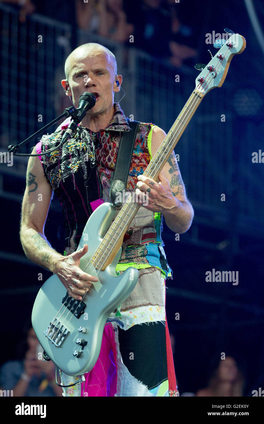 Napa, California, USA. 29th May, 2016. Bassist FLEA of Red Hot Chili Peppers performs live during BottleRock Napa Valley music festival at Napa Valley Expo in Napa, California Credit:  Daniel DeSlover/ZUMA Wire/Alamy Live News Stock Photo
