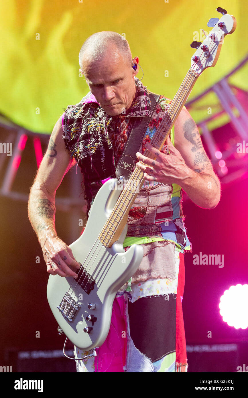 Napa, California, USA. 29th May, 2016. Bassist FLEA of Red Hot Chili Peppers performs live during BottleRock Napa Valley music festival at Napa Valley Expo in Napa, California Credit:  Daniel DeSlover/ZUMA Wire/Alamy Live News Stock Photo