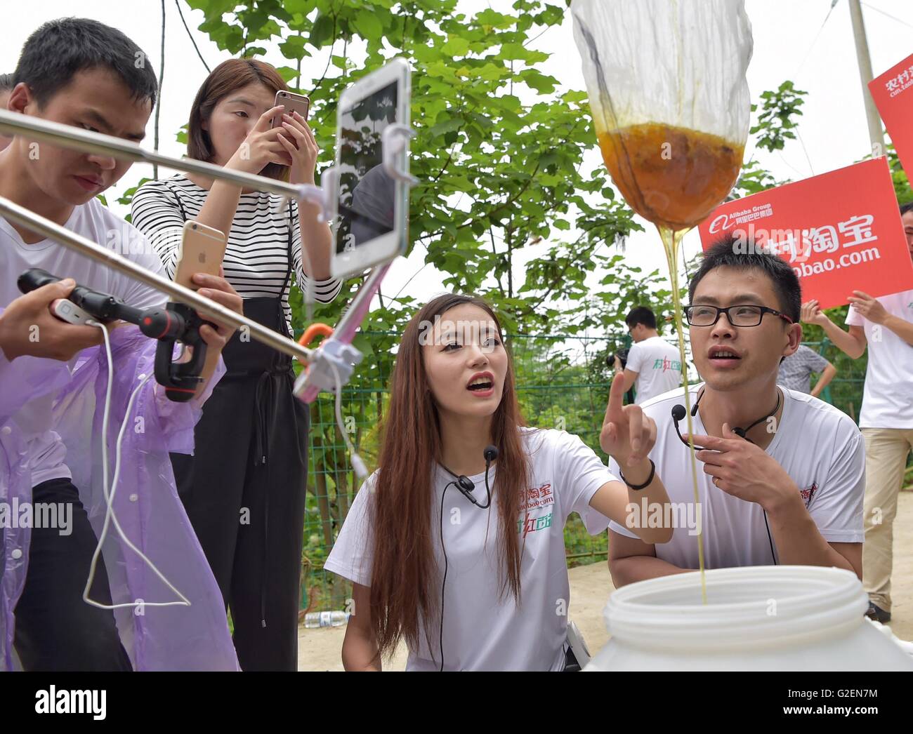 (160530) -- CHONGQING, May 30, 2016 (Xinhua) -- Working staff of Taobao, one of China's leading e-commerce platforms, shows how to collect pollution-free honey through a live-streaming app in southwest China's Chongqing Municipality, May 30, 2016. In order to help consumers have a direct understanding of goods they want to buy, Taobao kicked off its live-streaming for agricultural products in Tujia-Miao Autonomous County of Xiushan in Chongqing Monday. (Xinhua/Chen Cheng)(wjq) Stock Photo