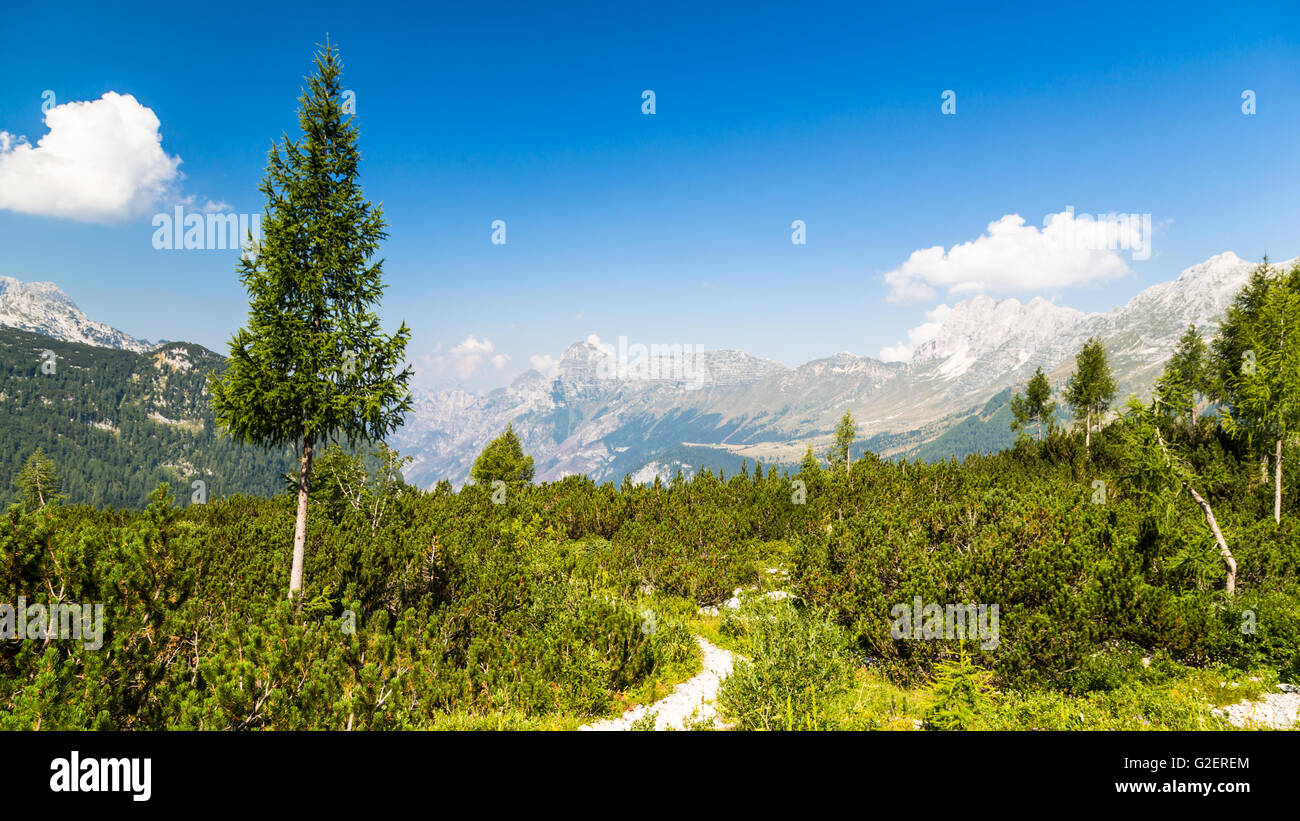 an alpine view on a summer day in Italy Stock Photo - Alamy