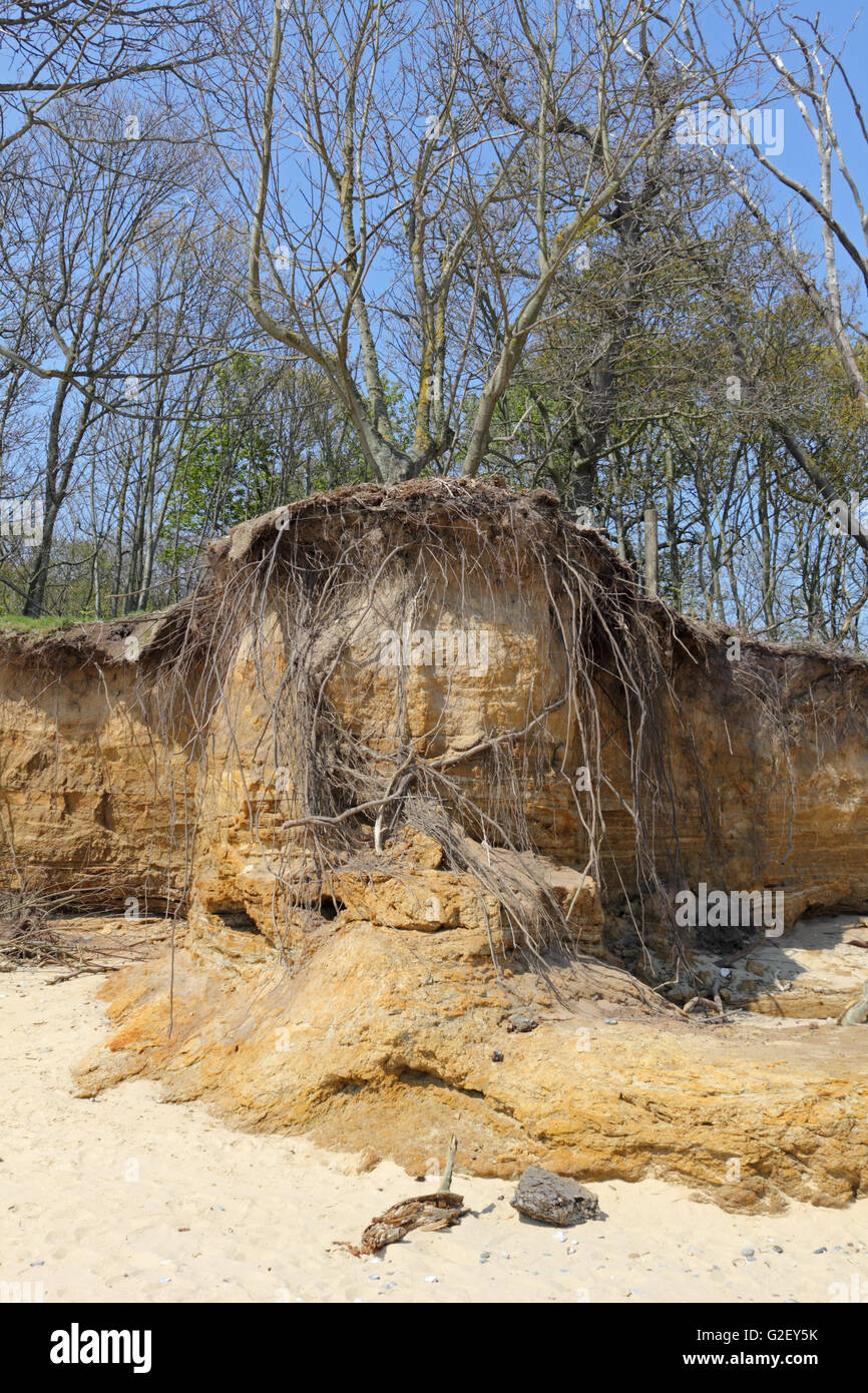 English coastal erosion hi-res stock photography and images - Alamy