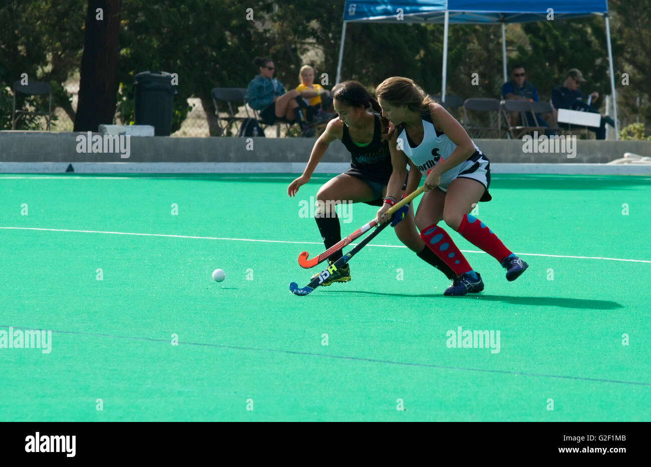 Two female field hockey players scramble for the ball Stock Photo Alamy