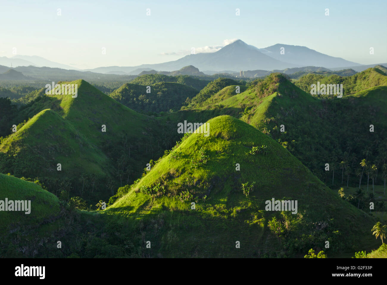Quitinday Green Hills (cone karst) near Camalig in evening light, Albay Province, Bicol