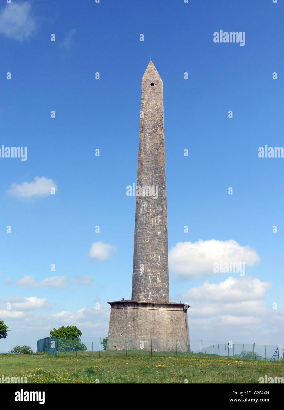 Duke of Wellington Monument, Blackdown Hills, Somerset, England Stock