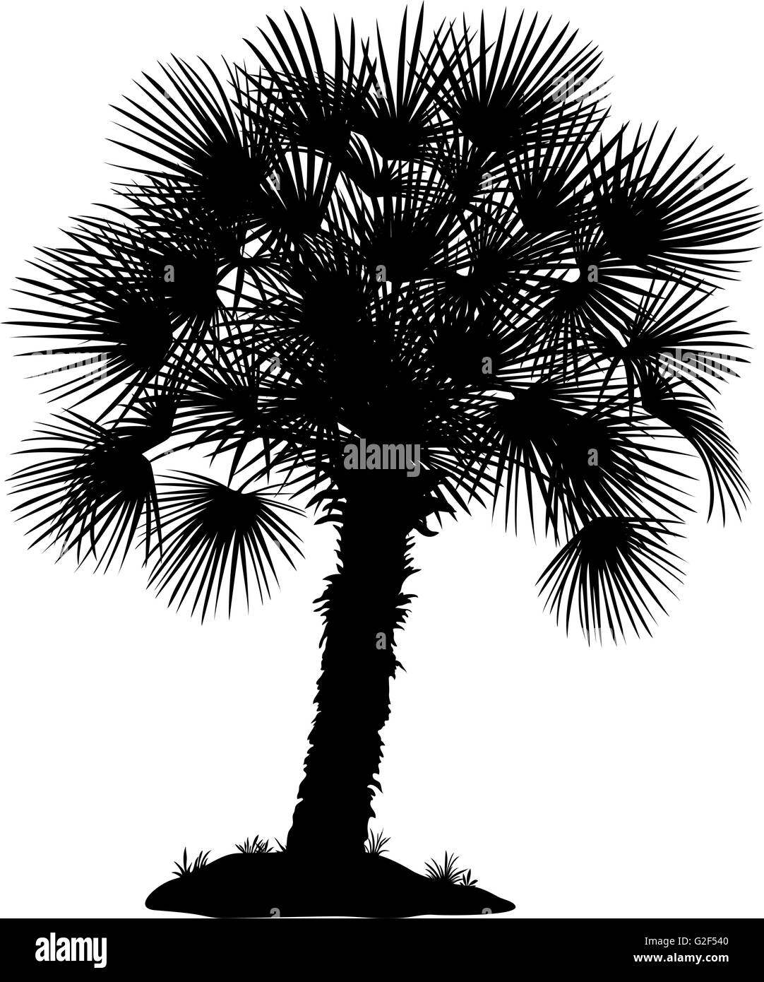 Palm Tree and Grass Silhouettes Stock Vector Image & Art - Alamy
