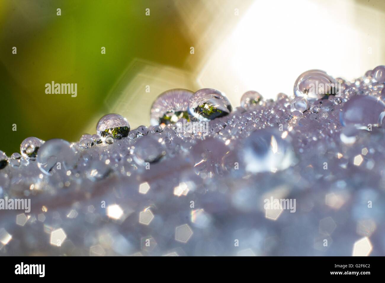 Macro photography close up showed a water droplets for background Stock ...