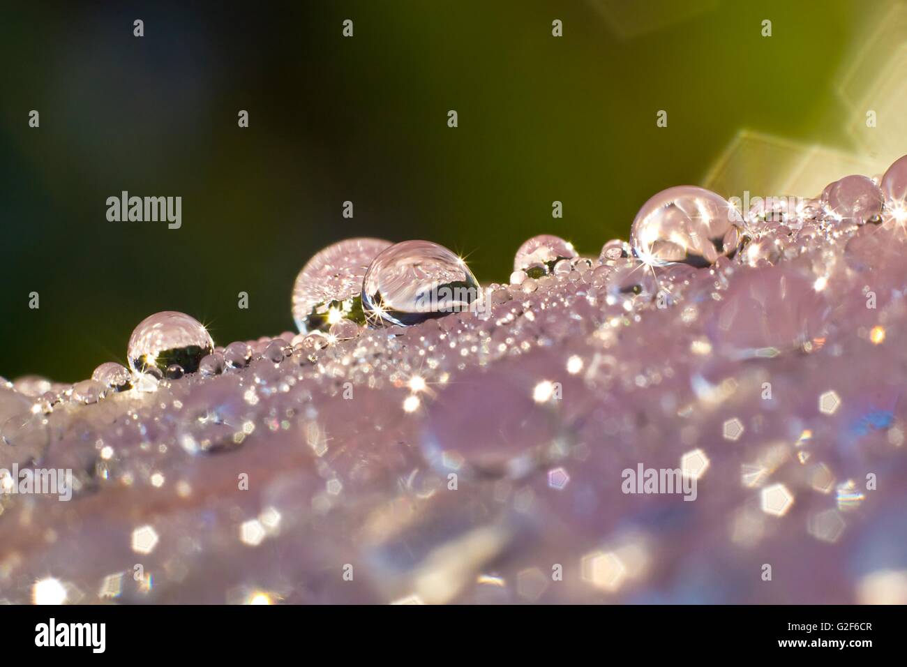 Macro photography close up showed a water droplets for background Stock ...
