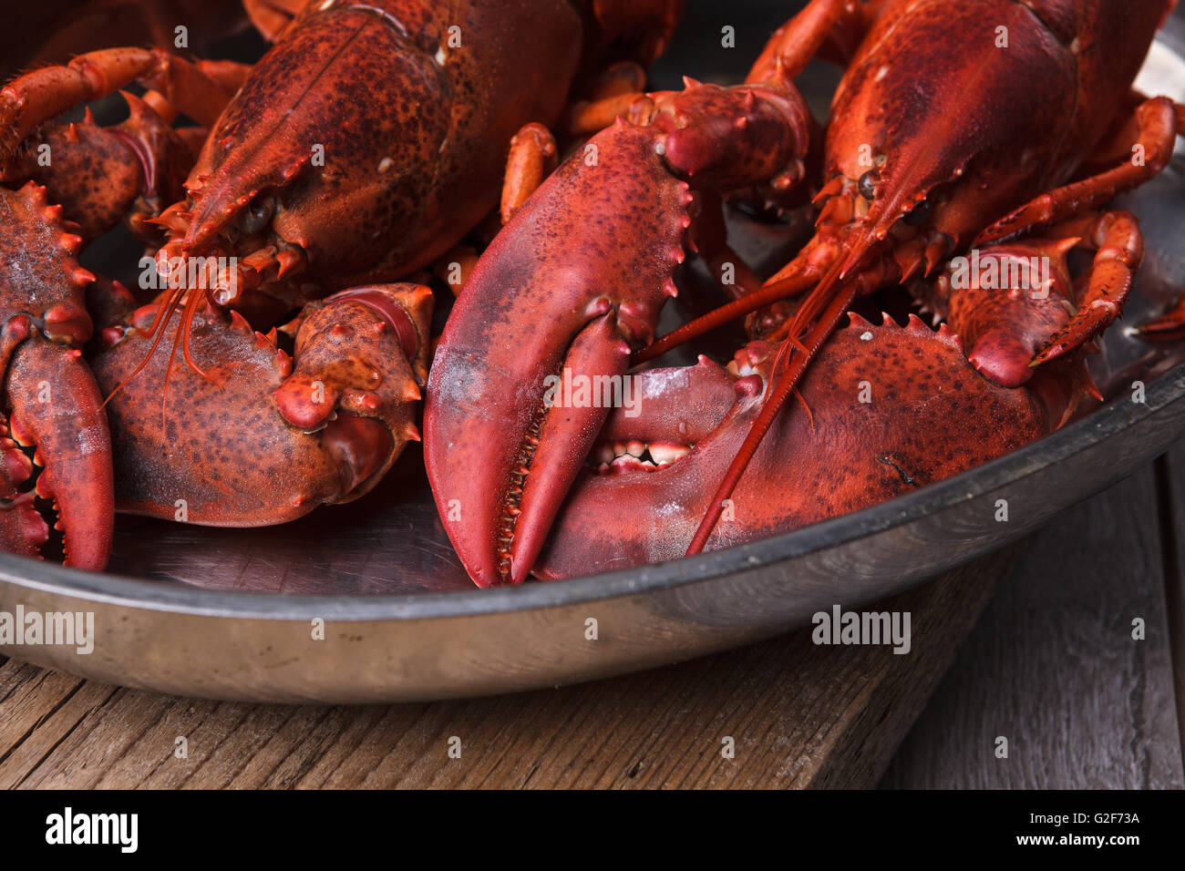 Freshly cooked lobsters served whole for dinner Stock Photo