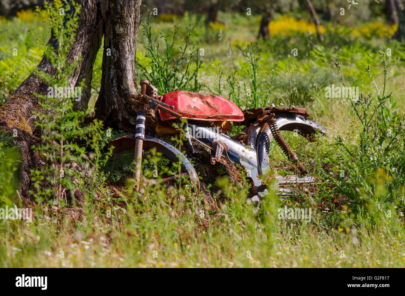 Rusty Old dilapidated classic bike left behind in olive orchards, Spain. Stock Photo