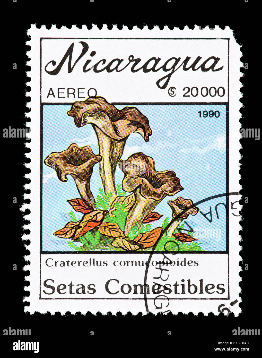 Postage stamp from Nicaragua depicting a horn of plenty mushroom (Craterellus cornucopioides) Stock Photo