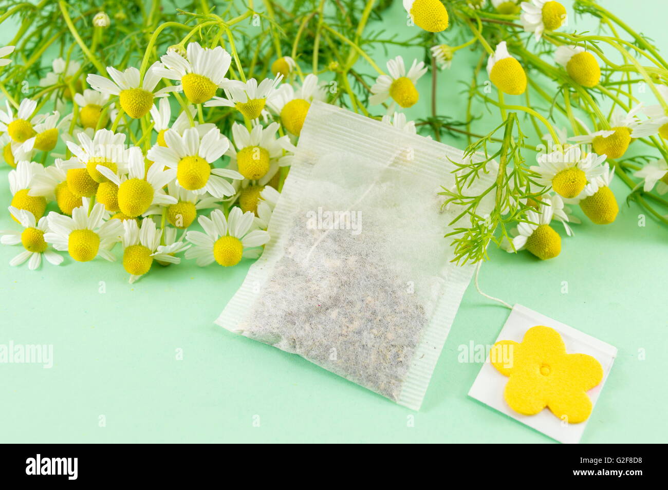 Chamomile flowers close up on and a chamomile tea bag Stock Photo