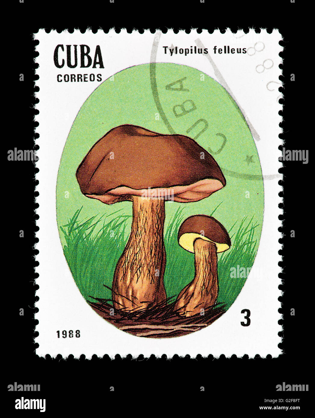 Postage stamp from Cuba depicting a bitter bolete or bitter tylopilus (Tylopilus felleus) Stock Photo