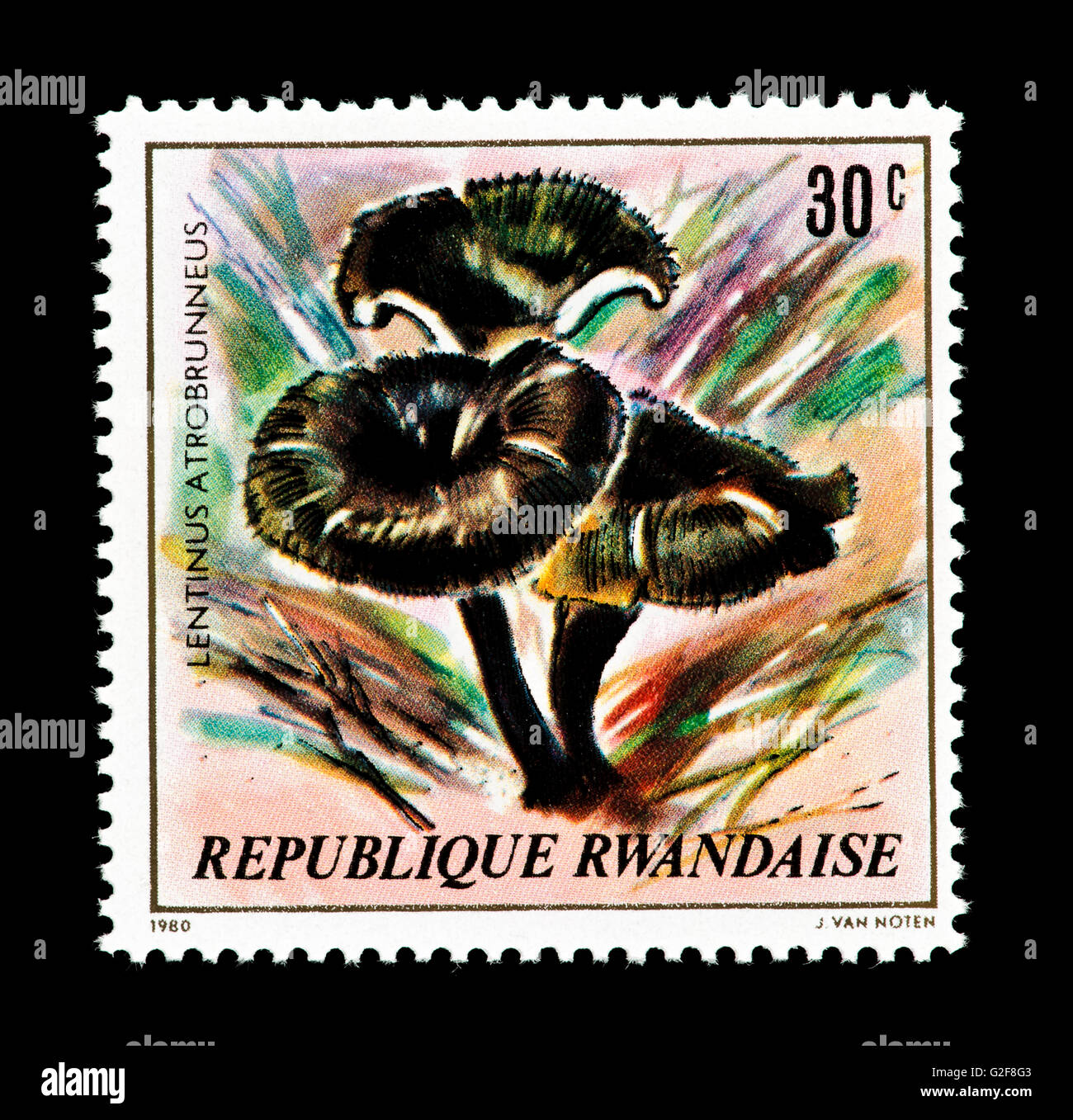 Postage stamp from Rwanda depicting a mushroom Lentinus atrobrunneus Stock Photo