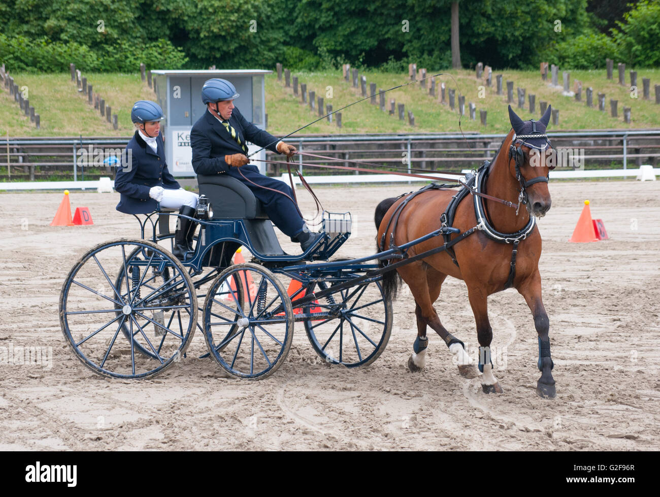 Obstacle course race of the international horse carriage coach racing in Dillenburg, Germany Stock Photo