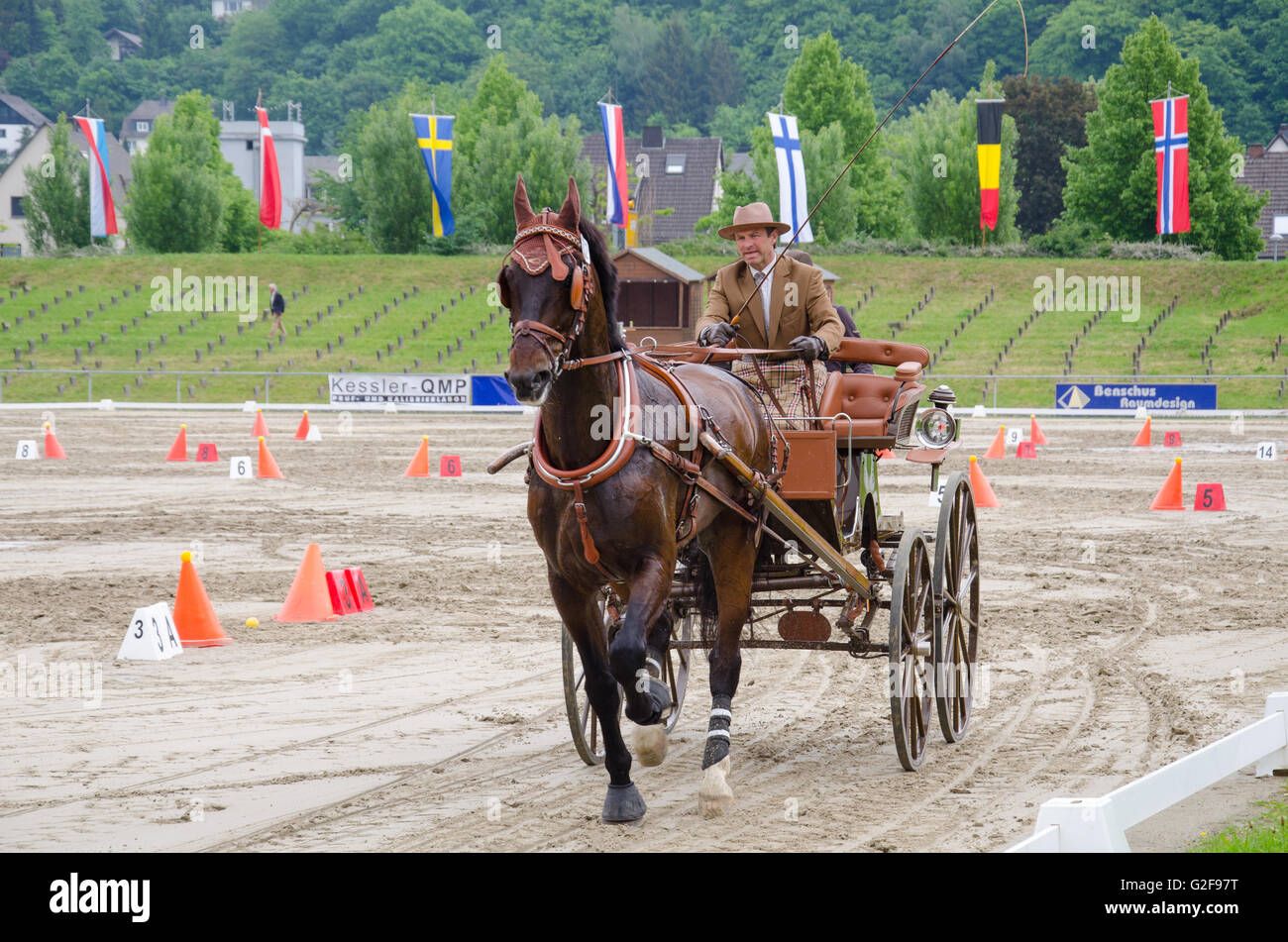 Obstacle course race of the international horse carriage coach racing in Dillenburg, Germany Stock Photo