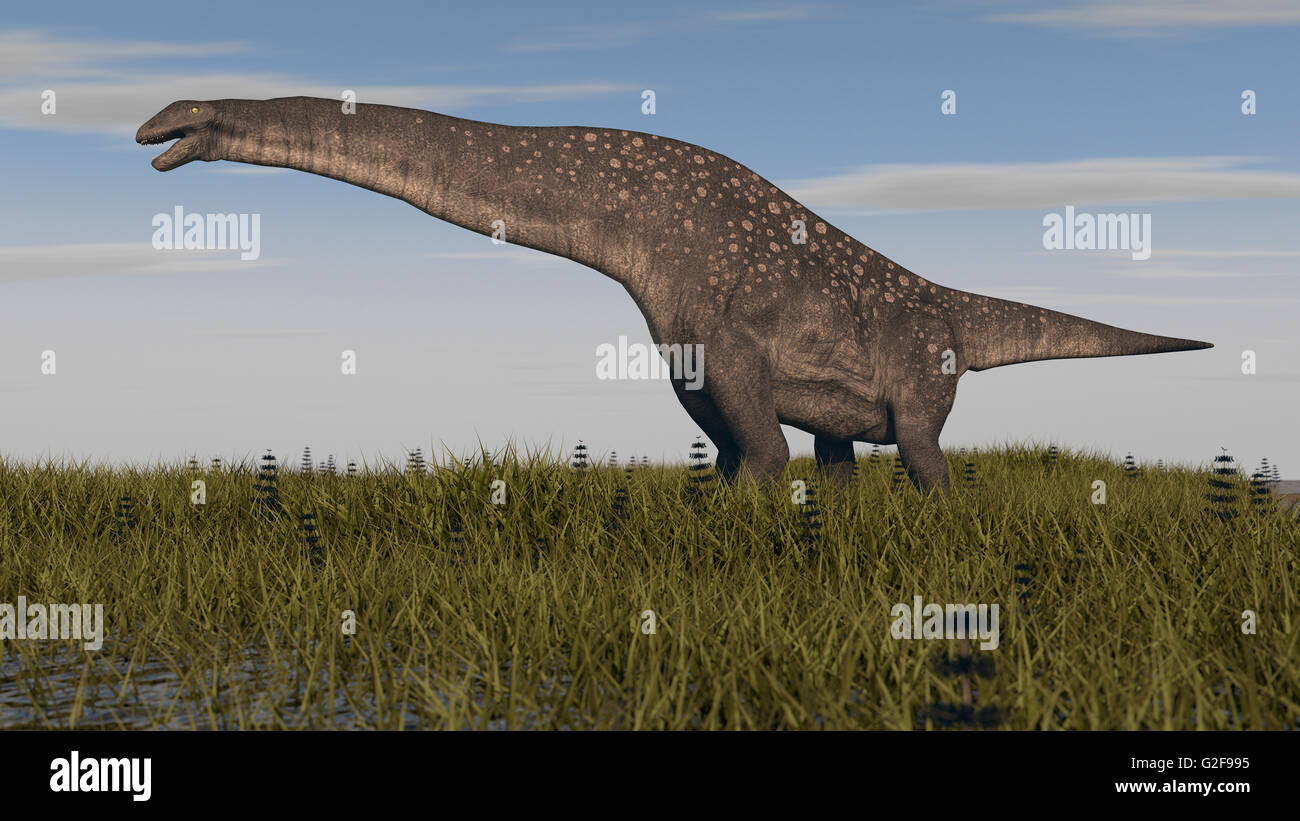 Titanosaurus standing in swamp grassland. Stock Photo