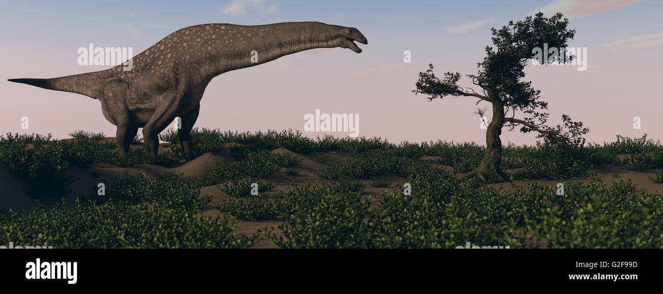 Titanosaurus standing grazing in swamp grassland. Stock Photo