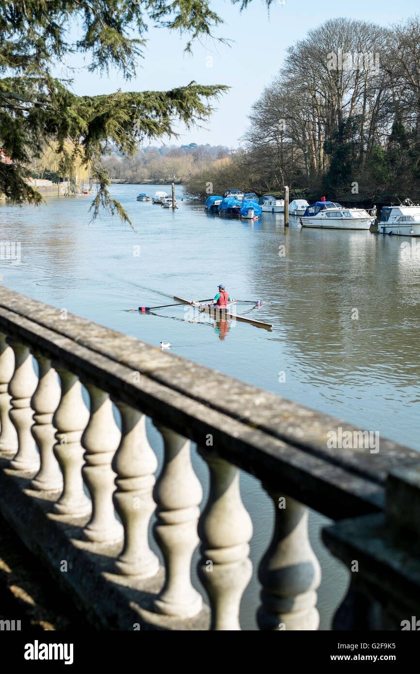 London UK Twickenham Thames river scenic rowing Stock Photo