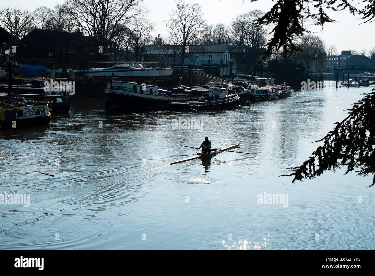 London UK thames river rowing Twickenham leisure Stock Photo