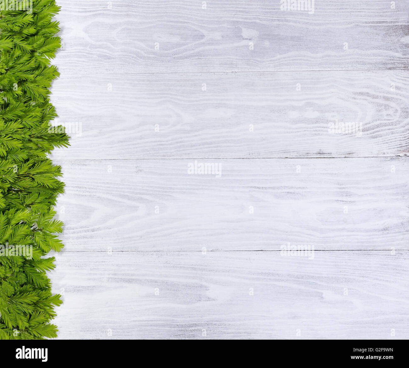 new-fir-tree-tips-on-left-side-of-frame-for-christmas-or-new-year