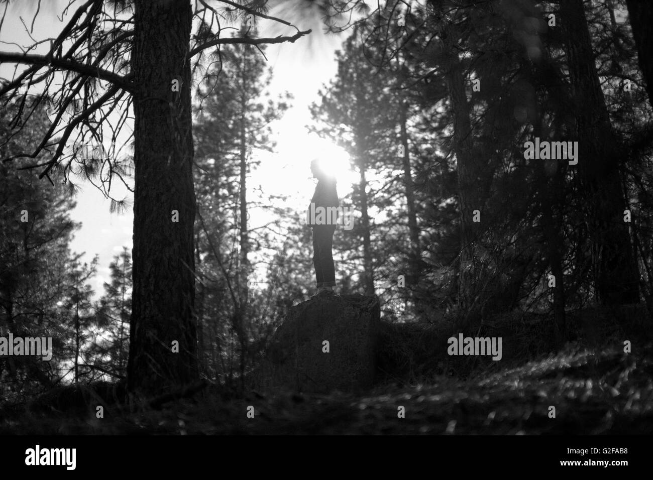 Young Adult Man Standing on Rock in Wilderness, Silhouette Stock Photo ...