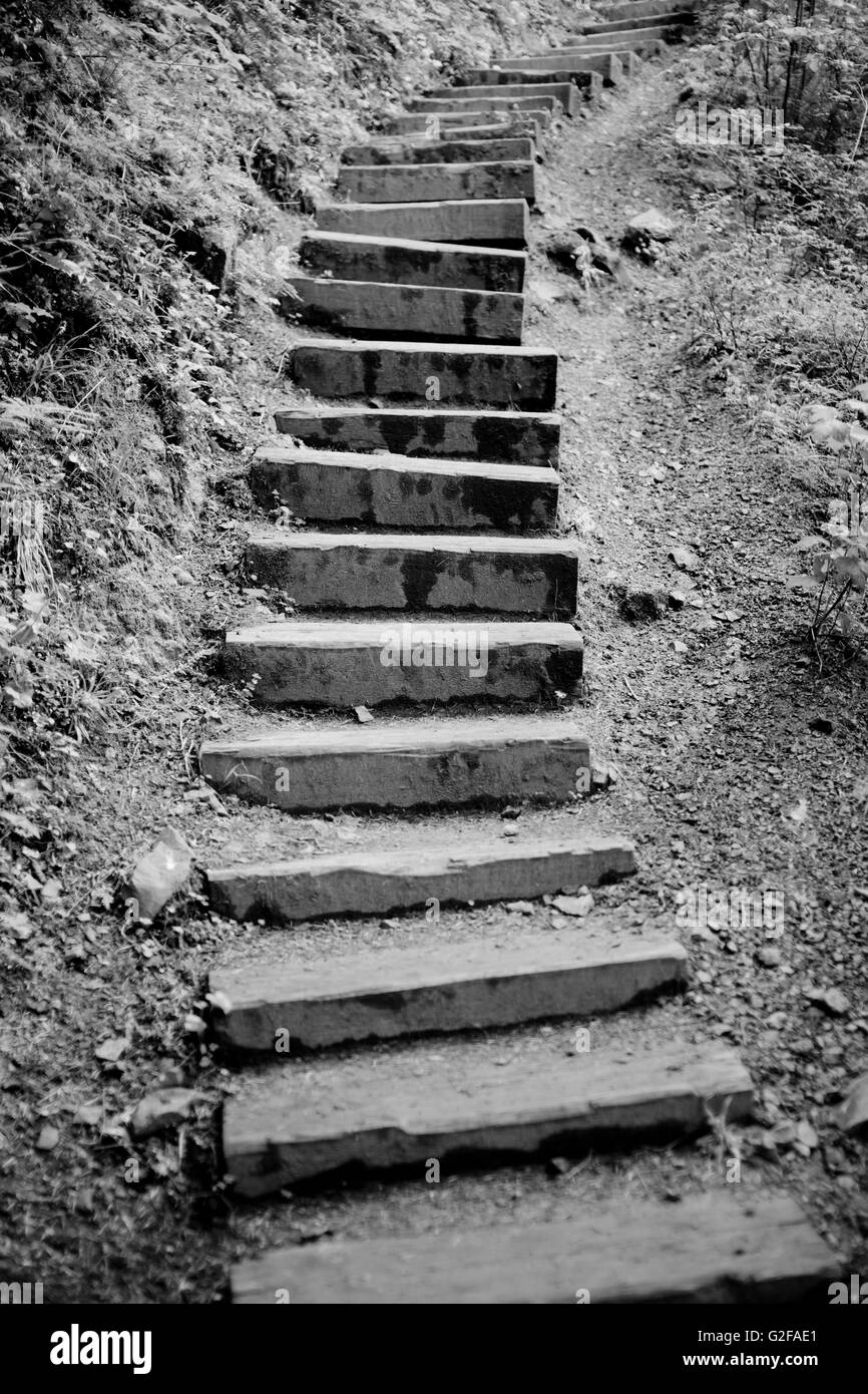Wooden Steps on Hiking Trail Stock Photo