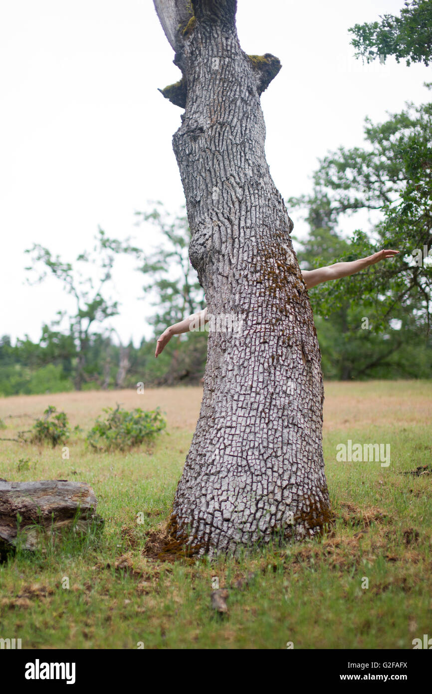 Old Tree with Human Arms as Branches Stock Photo