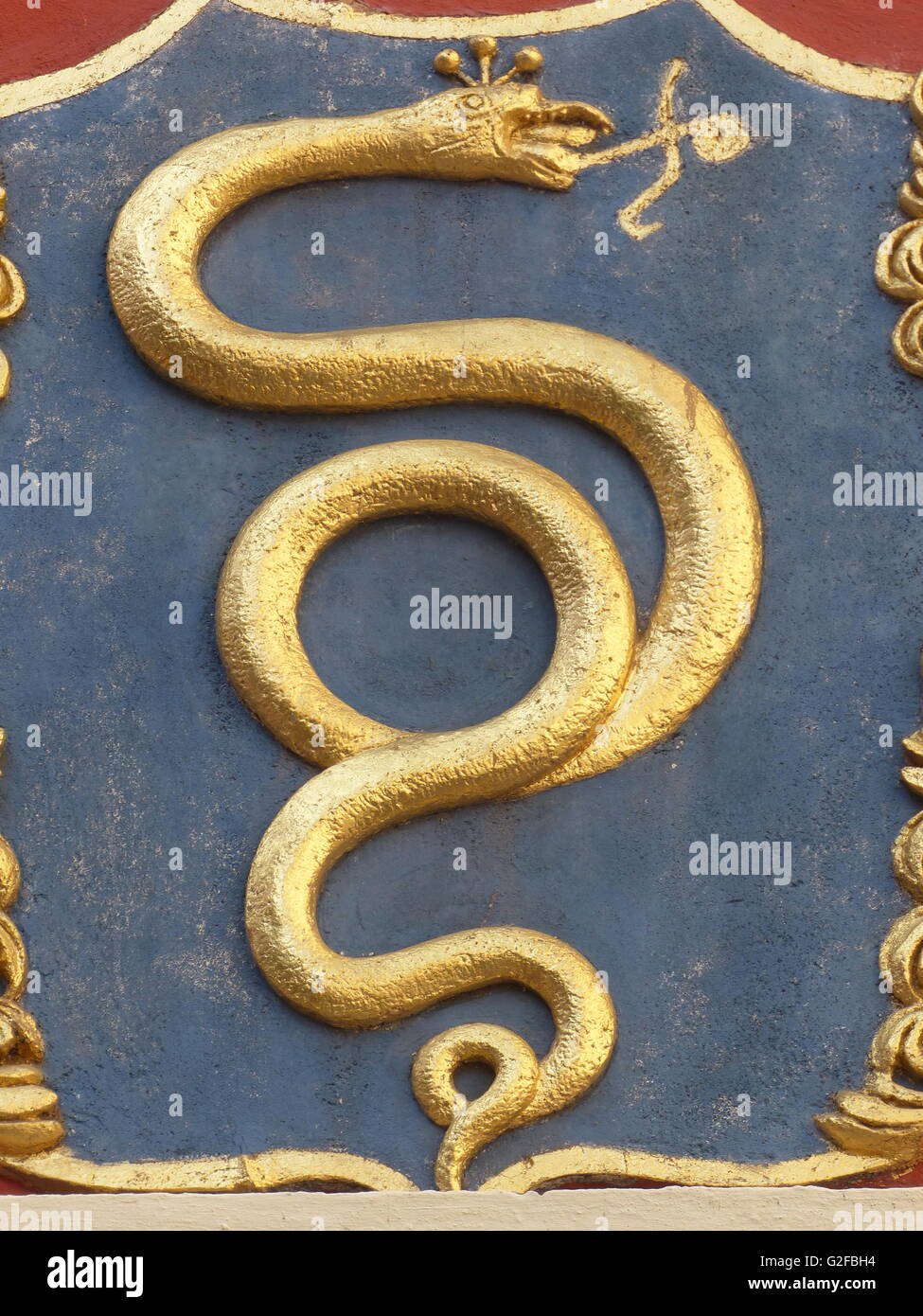 Golden snake hi-res stock photography and images - Alamy