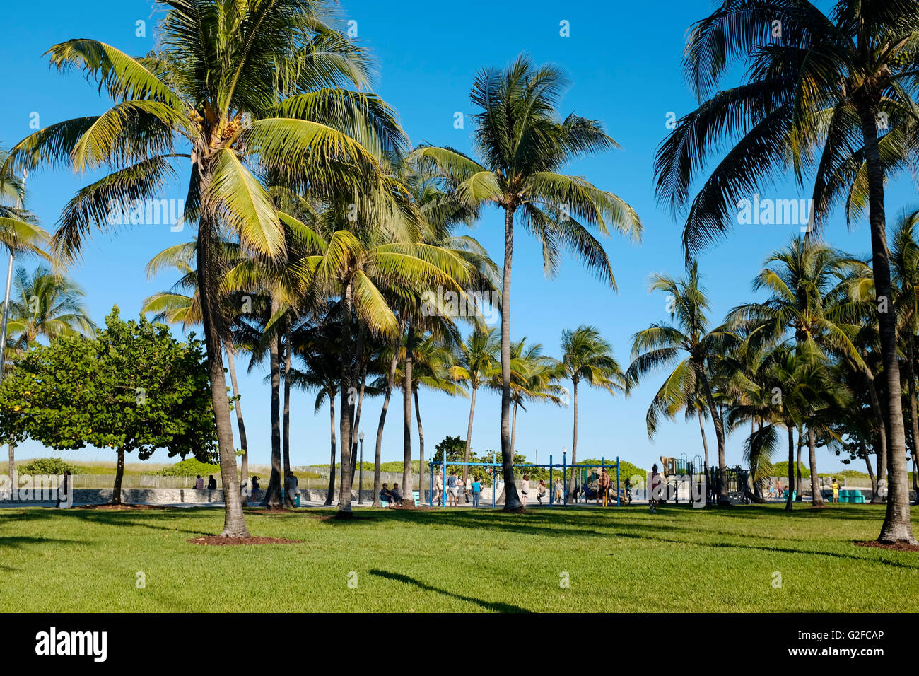 Lummus Park, Miami Beach, Florida, USA Stock Photo